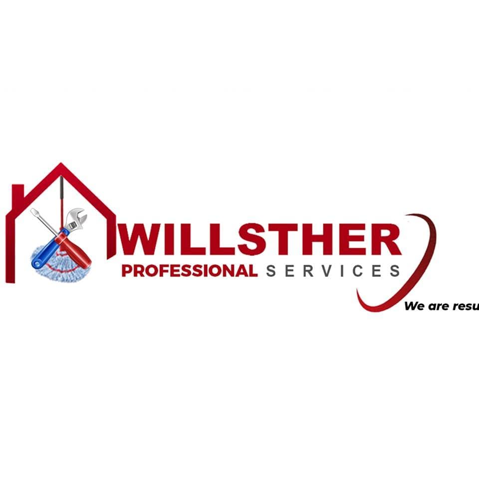 Willsther Professional Services