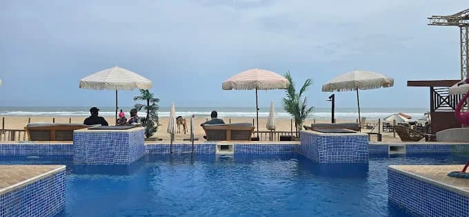 Pink Flamingo Accra - Image 2