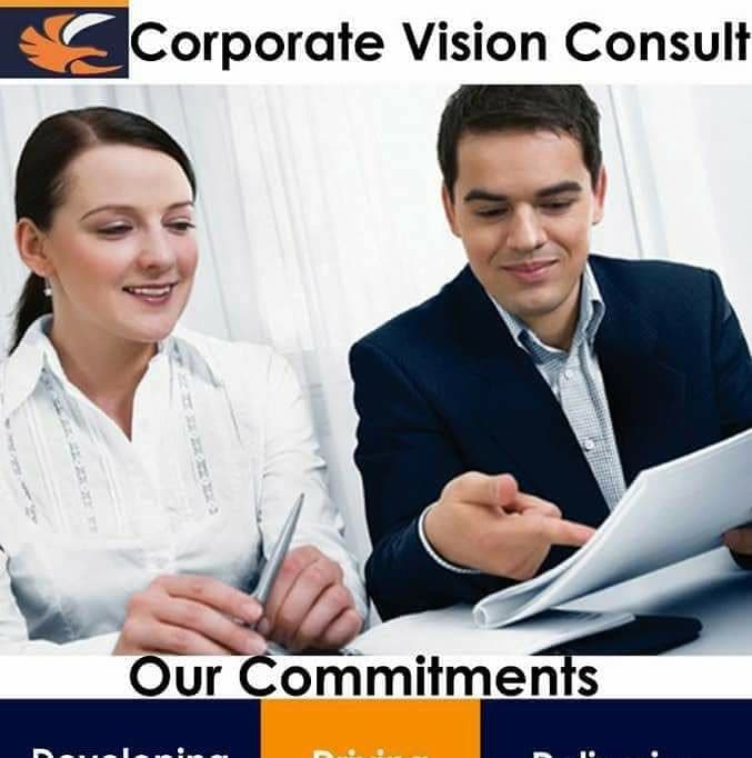 Corporate Vision Consult