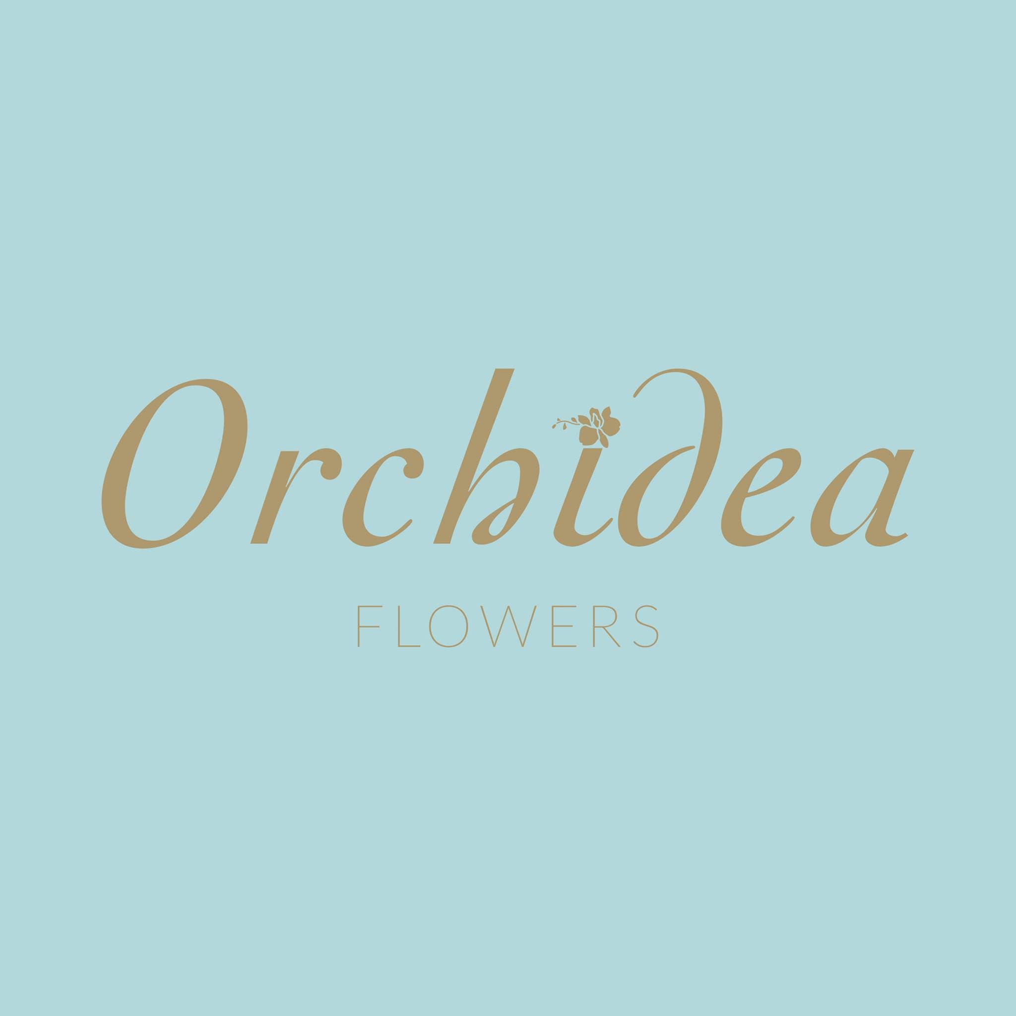 Orchidea Flowers
