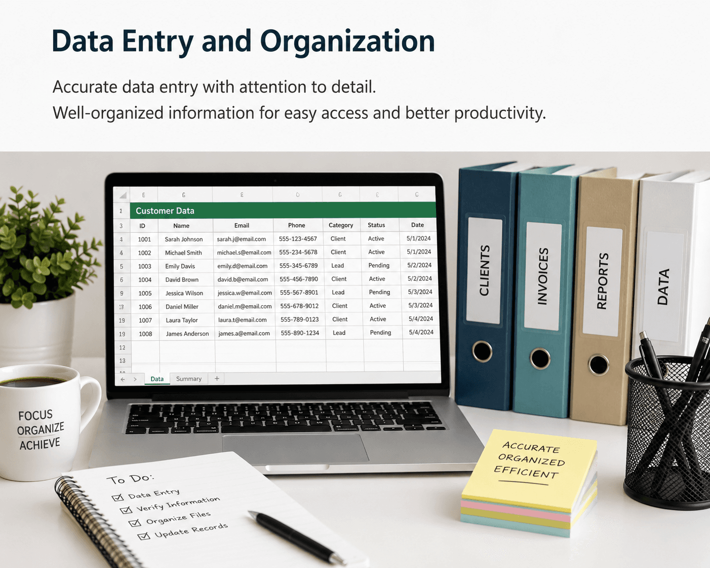 Data Entry & Organization
